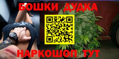 шишки Бузулук