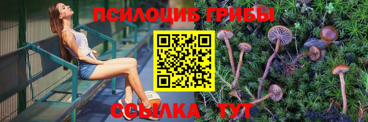 Псилоцибиновые грибы мицелий Торжок