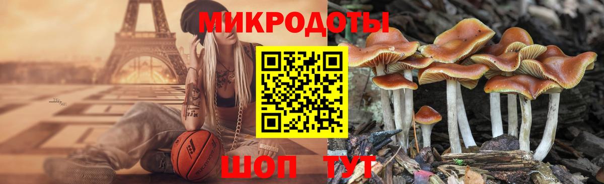 как найти наркотики  Вход с VPN  Торжок  Галлюциногенные грибы Psilocybe 